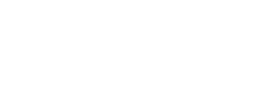 DRIVEMYFANTASY Logo